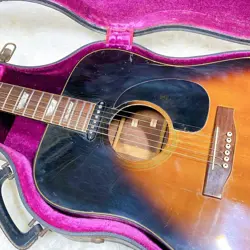 RELIC ACOUSTIC-ELECTRIC