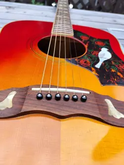 DOVE MODEL ACOUSTIC
