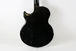 BLACK EBONY FRETBOARD