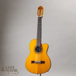 CE 1991 ELECTRIC