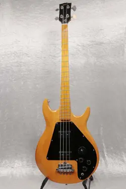 BASS NATURAL ELECTRIC