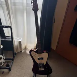 GIBSON USANON-REVERSE SPARKLING BURGUNDY