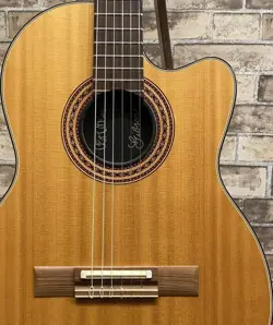 ATKINS CE CLASSIC