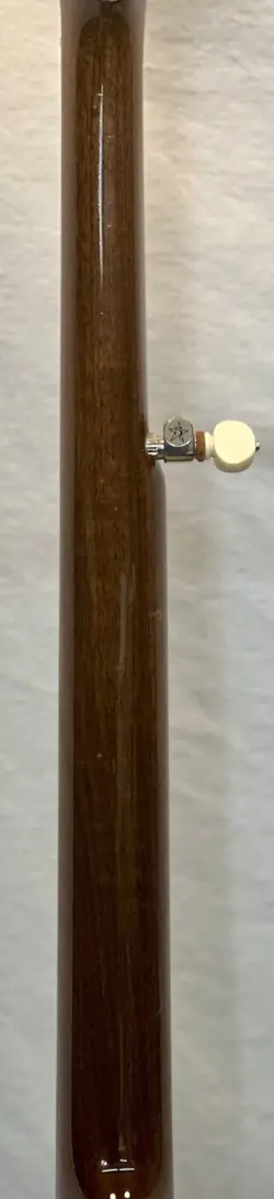 5-STRING BANJO