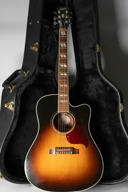 HUMMINGBIRD PRO ACOUSTIC