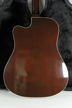 PRO ACOUSTIC