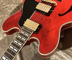 GIBSON ARTIST COLLECTION