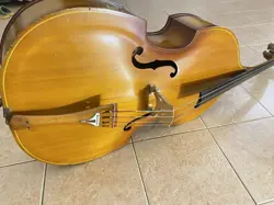 UPRIGHT BASS MINT