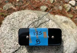 P100 BRIDGE