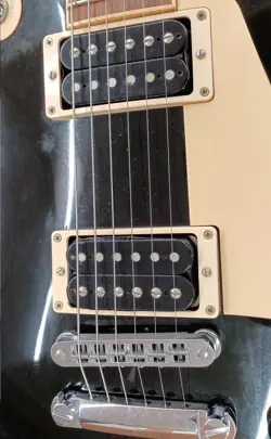 PAUL SIGNATURE ELECTRIC
