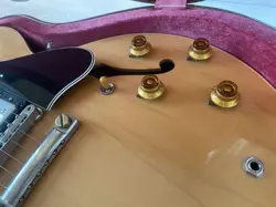 SEMI ACOUSTIC ELECTRIC