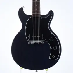 2019 USA ELECTRIC