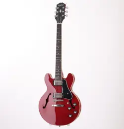 ES-339 CHERRY SHIBUYA