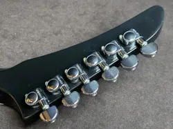 76 EBONY NO.DG495