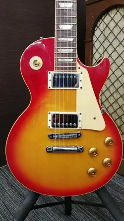 SUNBURST USA 1995