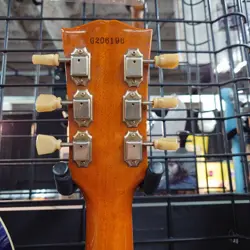 PAUL STANDARD S/N
