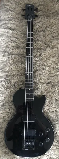 ACTIVE PICKUPS W/CASE