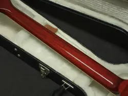BODY CHERRY W/HARD
