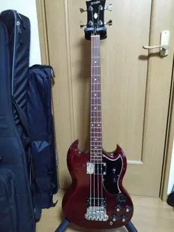 BASS RARE SAFE