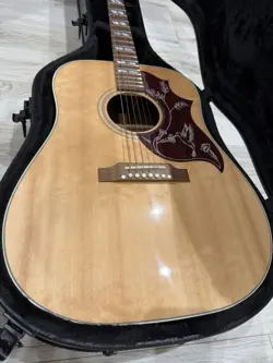 CASE 2023 MODEL