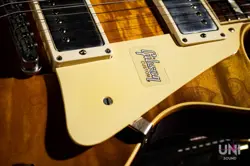 PAUL STANDARD VOS