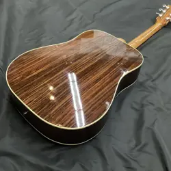 ROSEWOOD ACOUSTIC SAFE