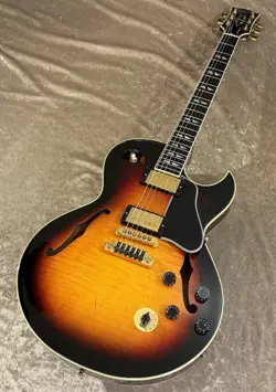 [3.95KG] ELECTRIC GUTIAR