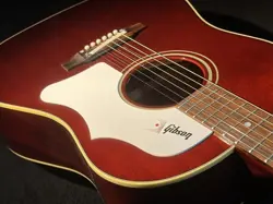 2023 W/HARD CASE