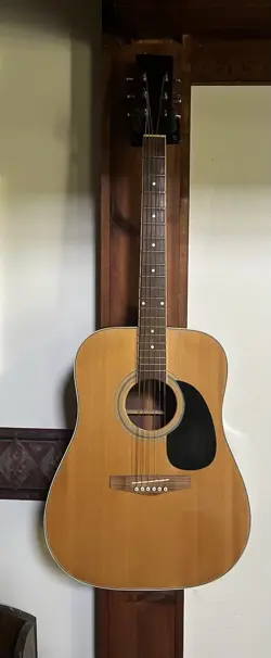 RARE ACOUSTIC