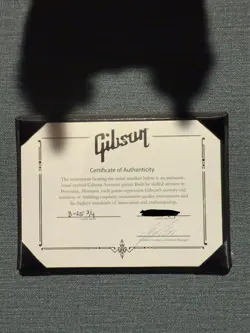 LIMITED EDITION B-25