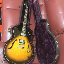 ES-335 TD LARRY