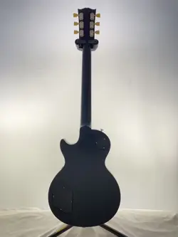 PAUL SUNBURST