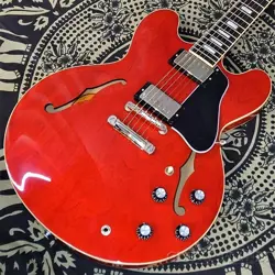 ~EXCLUSIVE COLLECTION~ ES-335