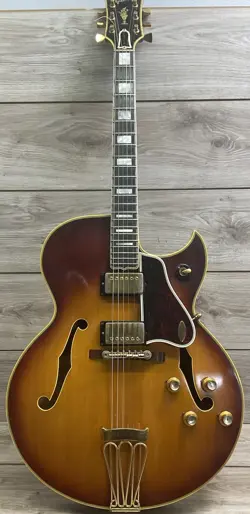 BYRDLAND CUSTOM WITH