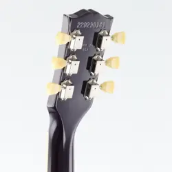 BLUEBERRY BURST USED