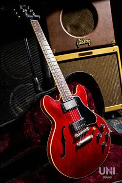 ES-339 CHERRY 2008