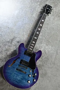 ES-339 FIGURED BLUEBERRY