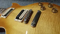 PAUL STANDARD MODEL