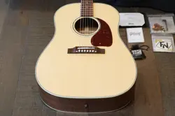 GUITAR +OHSC