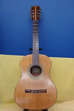 C-0-CLASSIC ACOUSTIC