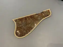 WESMONTGOMERY PICKGUARD JUNK