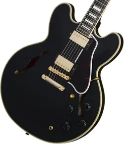 EXCLUSIVE MODEL W/HARD