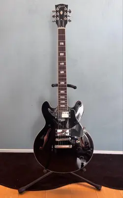 ES-339 GLOSS EBONY