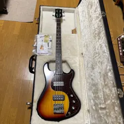 S/N 132520319