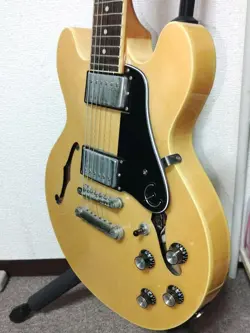 PRO NATURAL SEMI-HOLLOW