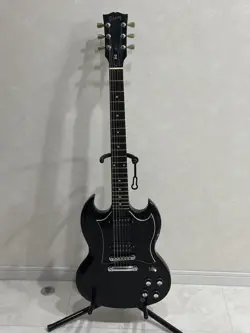 PICK GUARD SAFE