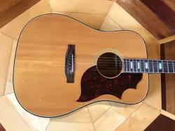 ACOUSTIC DELUXE