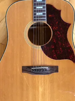 DELUXE GUITAR W/
