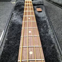 GUITAR ELECTRIC SAFE