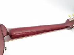 CLASSIC CINNAMON BURST